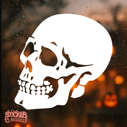 Skull 2104